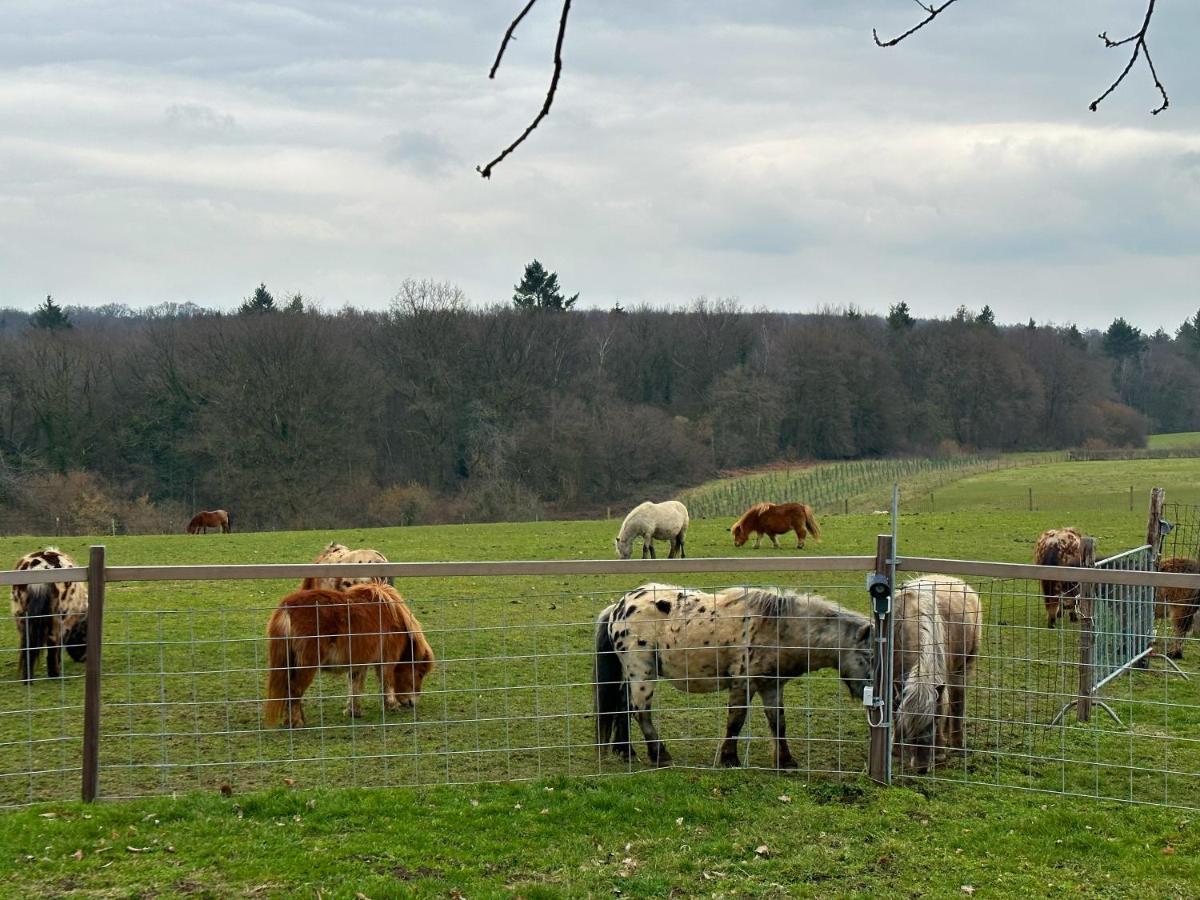 Bungalowpark Landsrade Gulpen Esterno foto