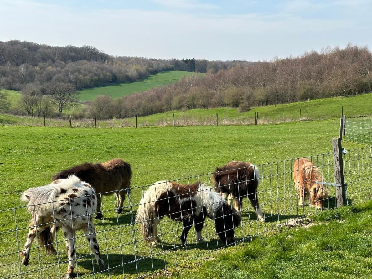 Bungalowpark Landsrade Gulpen Esterno foto